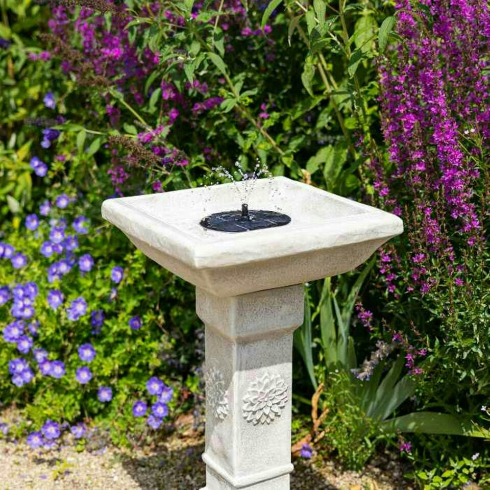 image 1 of Primrose Budding Dahlia Solar Bird Bath Water Feature with Lights