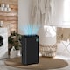 image 2 of HOMCOM 16LDay Dehumidifier with Air Purifier and HEPA Filter, UVC, Ioniser, 5.5L Water Tank, 24H Timer, for Home Damp, Condensation, Mould and Laundry Drying, Black