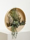 image 5 of Interiors by Premier Mixed Succulents In Wood Wall Planter, Faux Succulents In Round Wooden Frame, Farmhouse Wall Art | Cream
