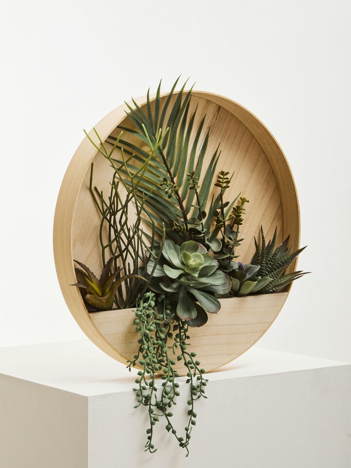 image 1 of Interiors by Premier Mixed Succulents In Wood Wall Planter, Faux Succulents In Round Wooden Frame, Farmhouse Wall Art | Cream