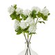 image 4 of Hill Interiors Snowball Viburnum Artificial Flower Spray - Cream - 77cm