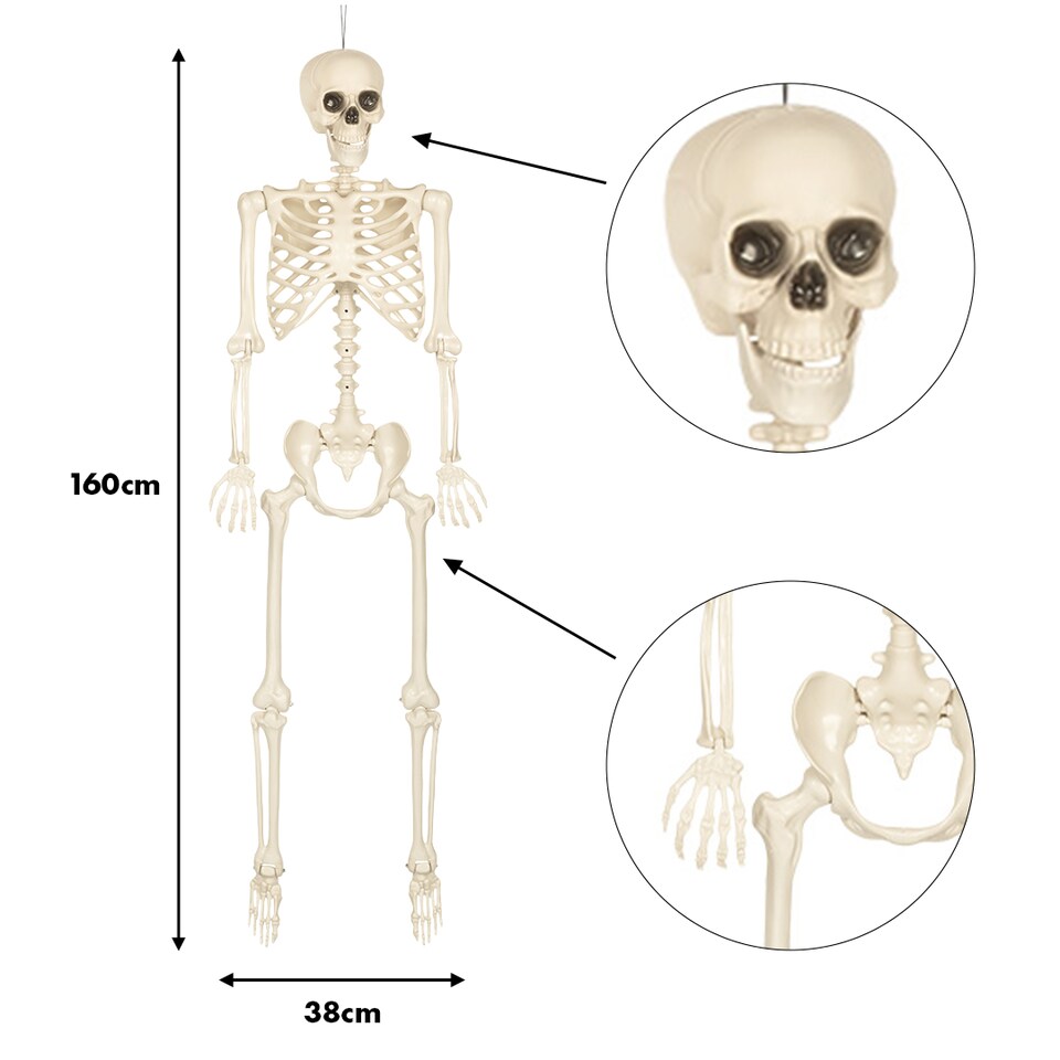 image 1 of Skinny White Skeleton Halloween Hanging Prop Decoration 1.6m