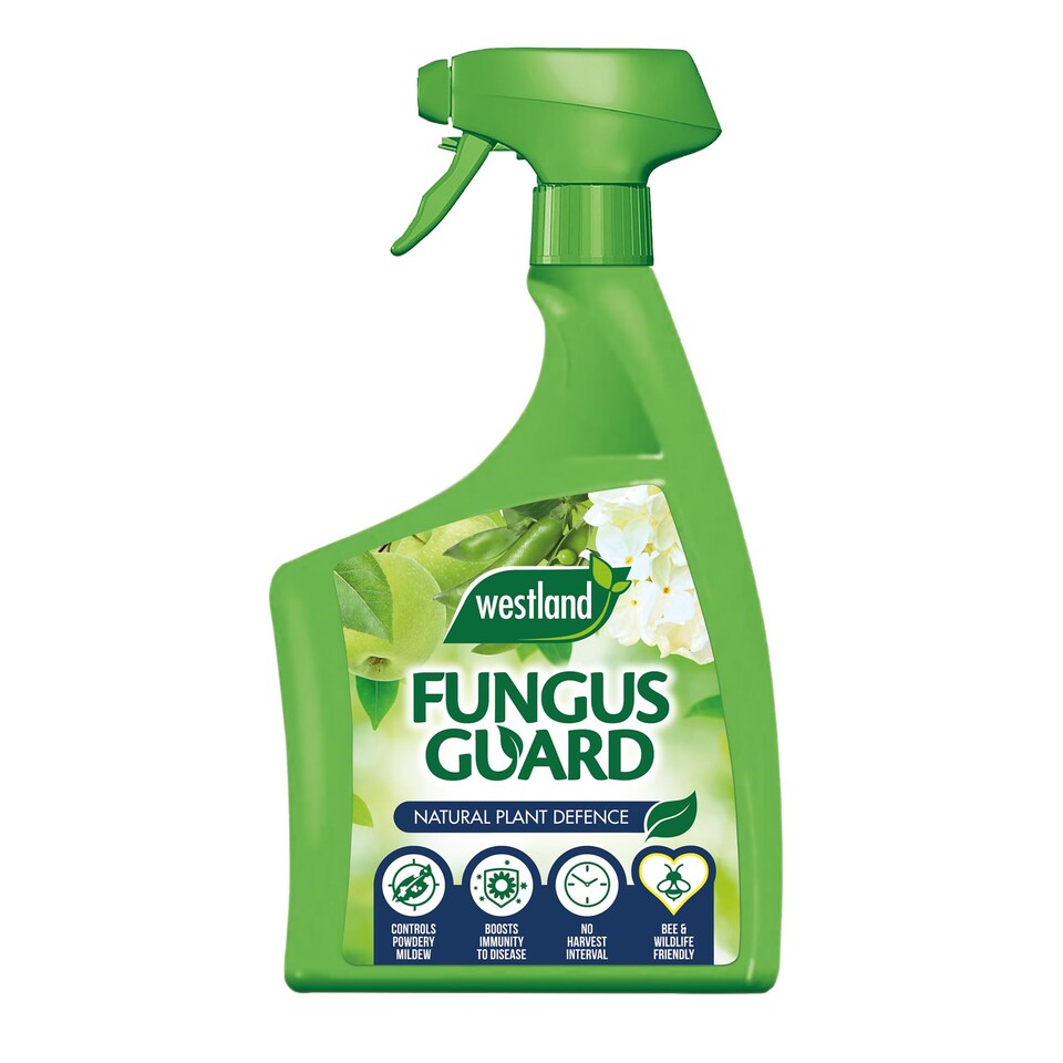 image 1 of Westland Fungus Guard Ready To Use Spray 800ml