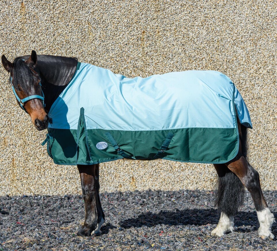 image 1 of eQuitack 600D Waterproof Horse Turnout Rug 0g No Fill Regular Neck Pista Aqua/Bottle Green 6'0''