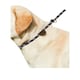 image 2 of Weatherbeeta Rope Leather Slip Dog Lead - Navy/Brown - 1.8m