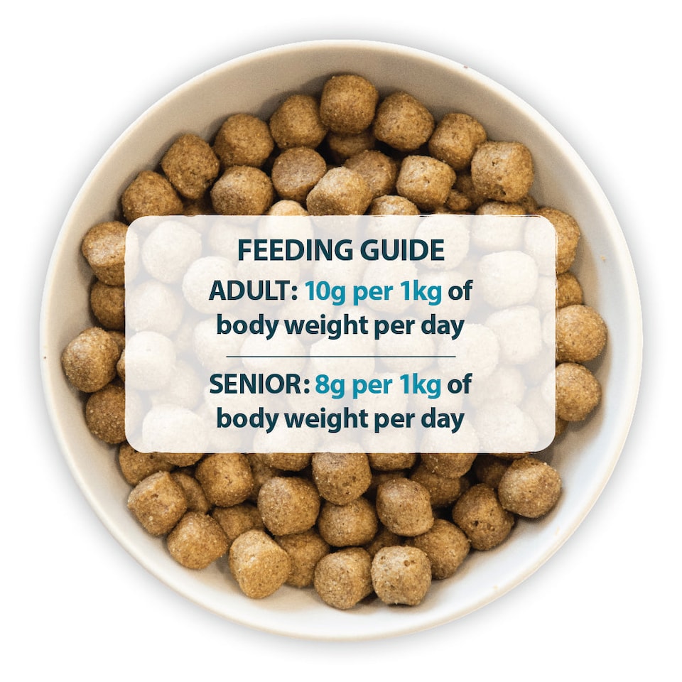 image 1 of Burns Original Chicken & Brown Rice Complete Adult & Senior Dry Dog Food - 6 kg | Multi | 6kg | 1