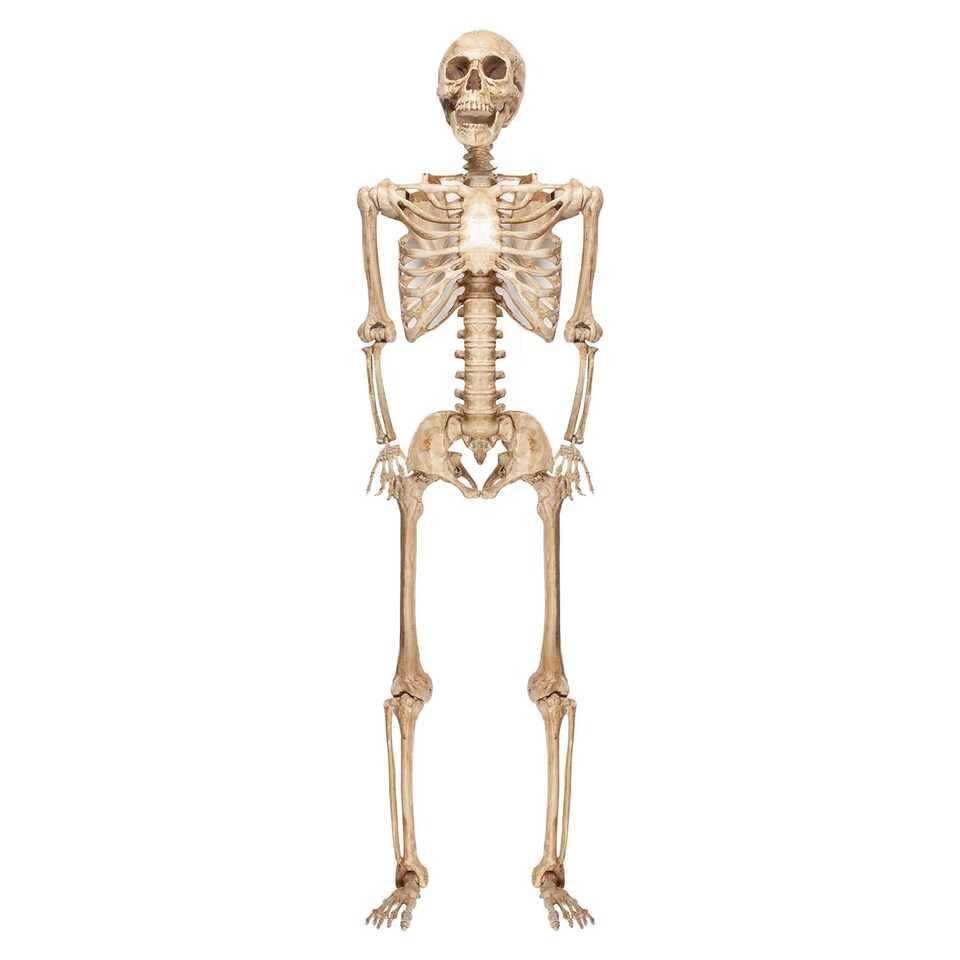 image 1 of vfm-estore Giant 7ft Halloween Skeleton Hanging Decoration White