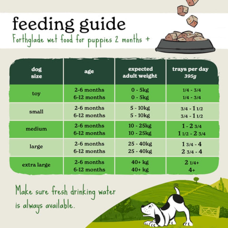 image 1 of Forthglade Natural Grain Free Chicken, Liver and Vegetables Puppy Wet Dog Food - 18 x 395g
