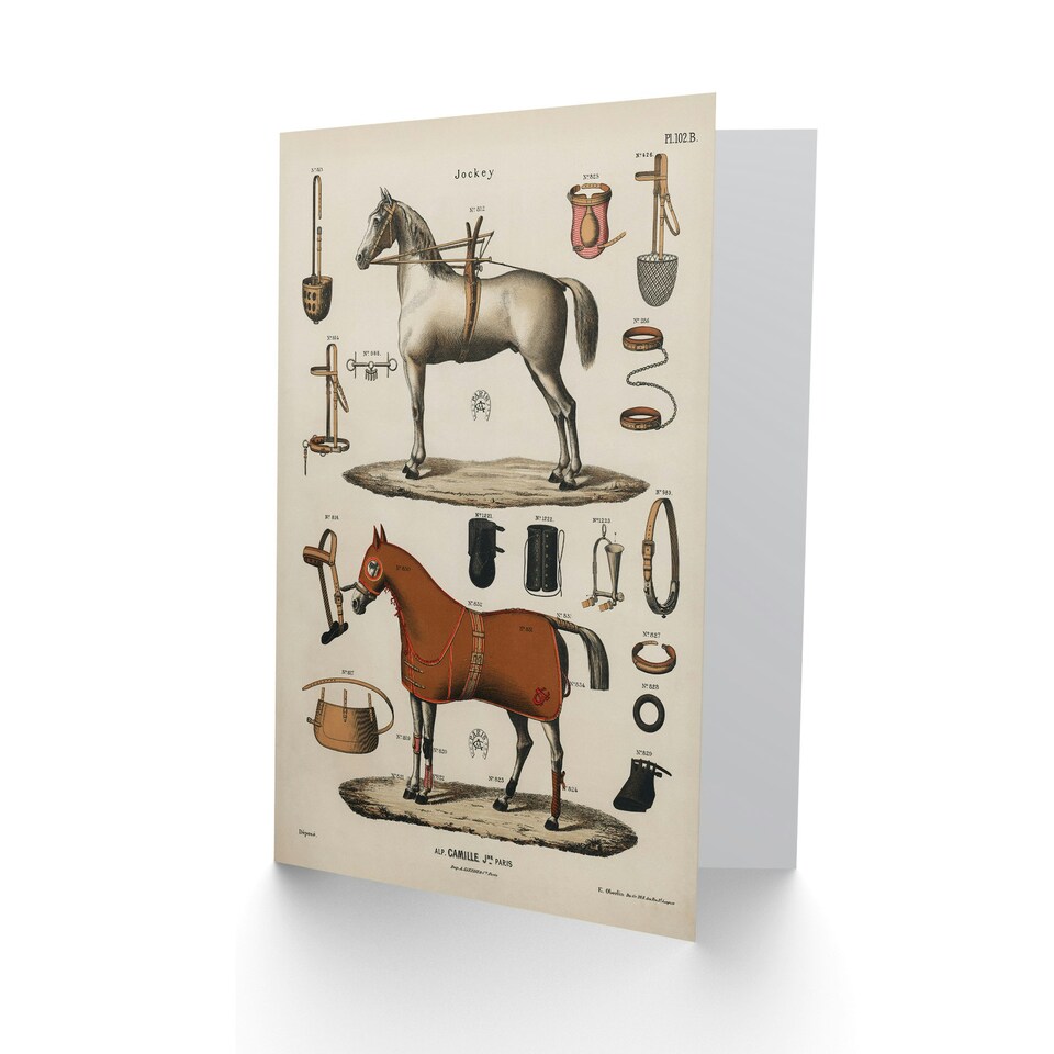 image 1 of Alp Camille Jeune Art Card Vintage Horseback Riding Equipment