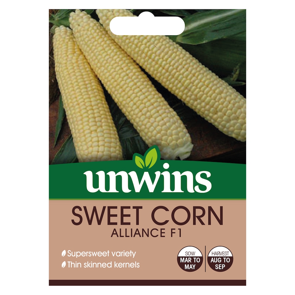 image 1 of Sweetcorn Alliance F1