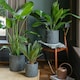 image 7 of Kew Stoneware Meadow Planter - Stoneware - L20.5 x W20.5 x H20.5 cm - Grey | Grey