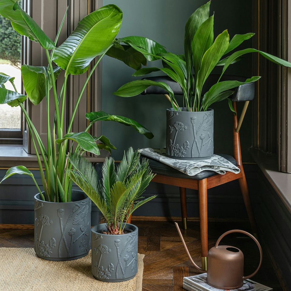 image 1 of Kew Stoneware Meadow Planter - Stoneware - L20.5 x W20.5 x H20.5 cm - Grey | Grey