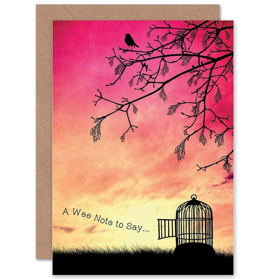 image 1 of Note to Say Bird Cage Pink Sunset Freedom Thinking Of You Card
