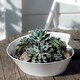 image 4 of Villeroy & Boch New Wave Large Salad Bowl/Soup Tureen