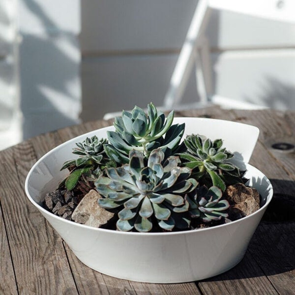 image 1 of Villeroy & Boch New Wave Large Salad Bowl/Soup Tureen