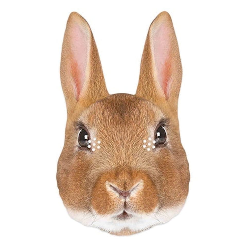 Rabbit Cardboard Face Mask