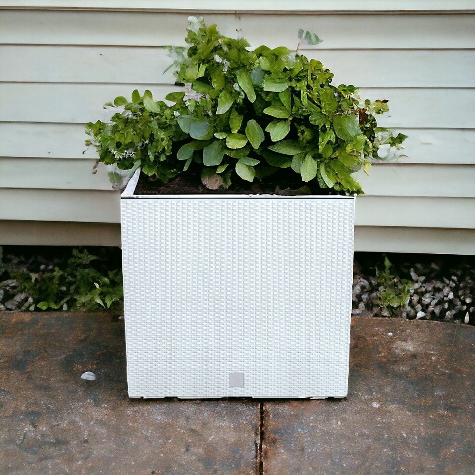 image 1 of Rato Case Tall Rattan Rectangle Flower Pot | White | 1