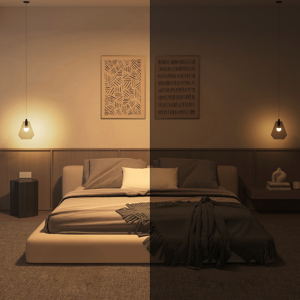 image 1 of Philips Hue Essential WCA 806 A60 E27 2P EU
