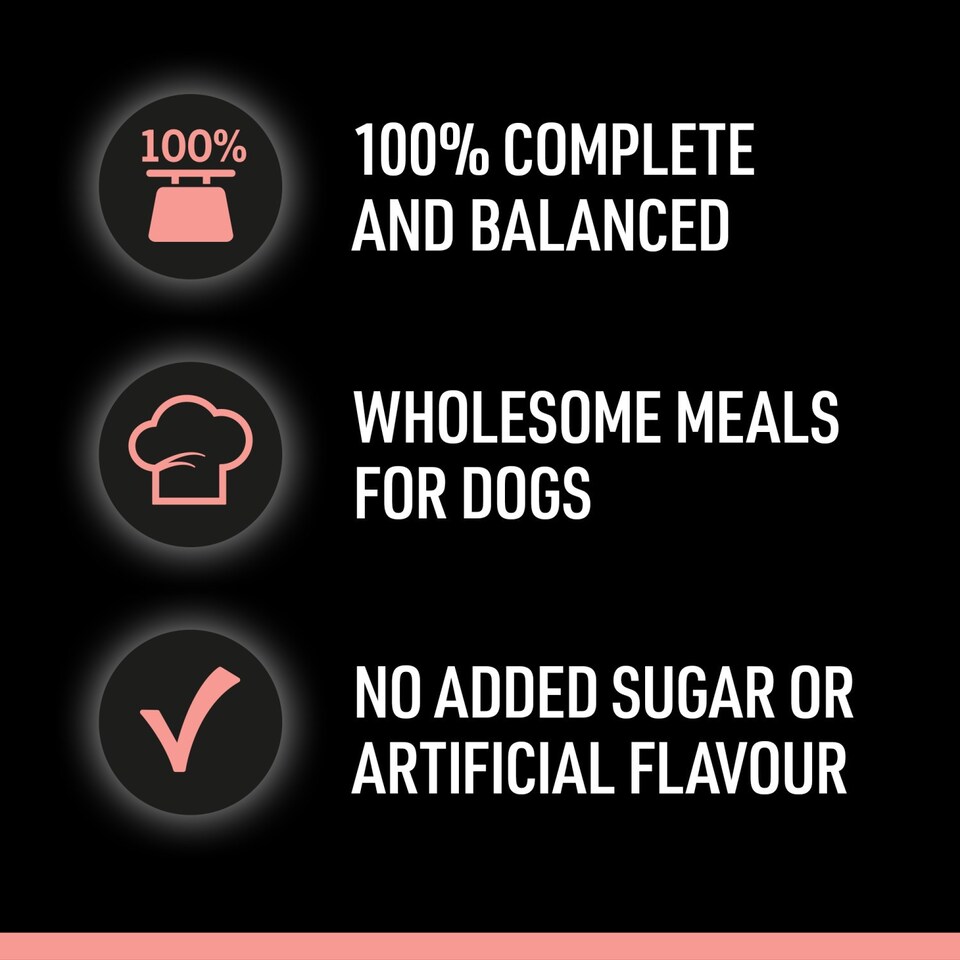 image 1 of 96 x 100g Cesar Luxury Adult Wet Dog Food Pouches Mixed Favourites In Sauce