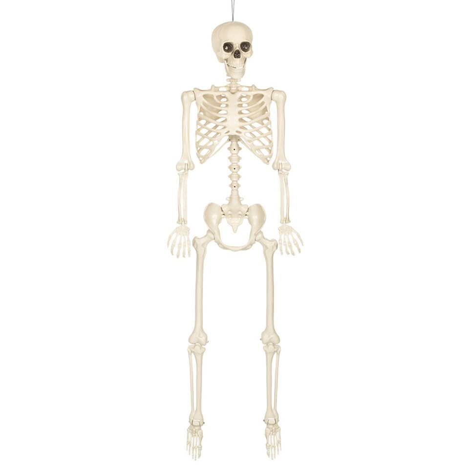 image 1 of Skinny White Skeleton Halloween Hanging Prop Decoration 1.6m