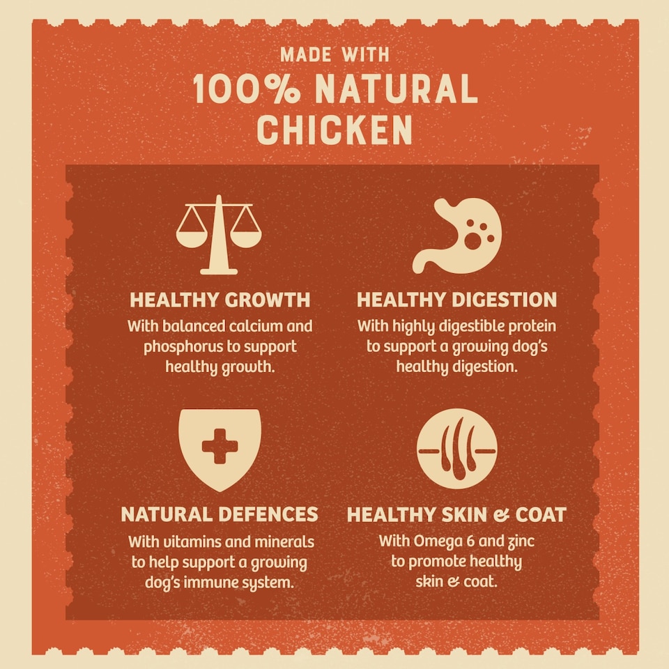 image 1 of James Wellbeloved Puppy Wet Dog Food Tins Chicken, Rice & Veg in Loaf 12 x 400g