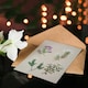 image 4 of Sarah Featon Art Card New Zealand Four Veronica Flowering Plants
