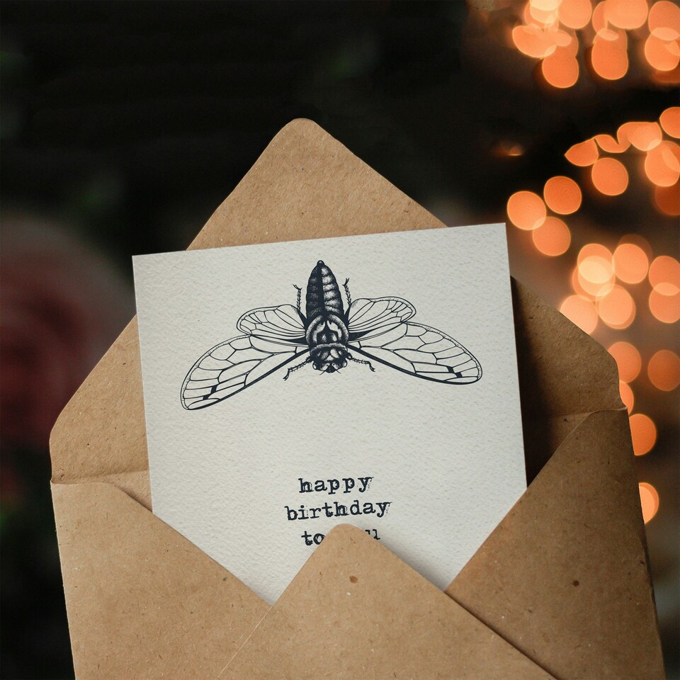 image 1 of Cicada Insect Bug Vintage Style Drawing Birthday Card