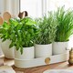 image 4 of Burgon & Ball Sophie Conran Herb Pots Buttermilk