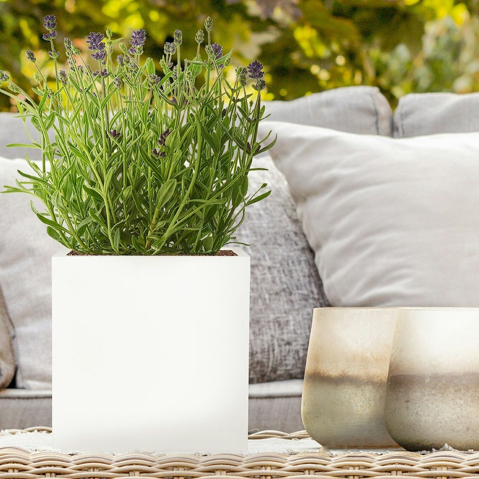 image 1 of Square Box White Light Concrete Garden Planter H25 L25 W25 cm, 16 ltrs Cap.