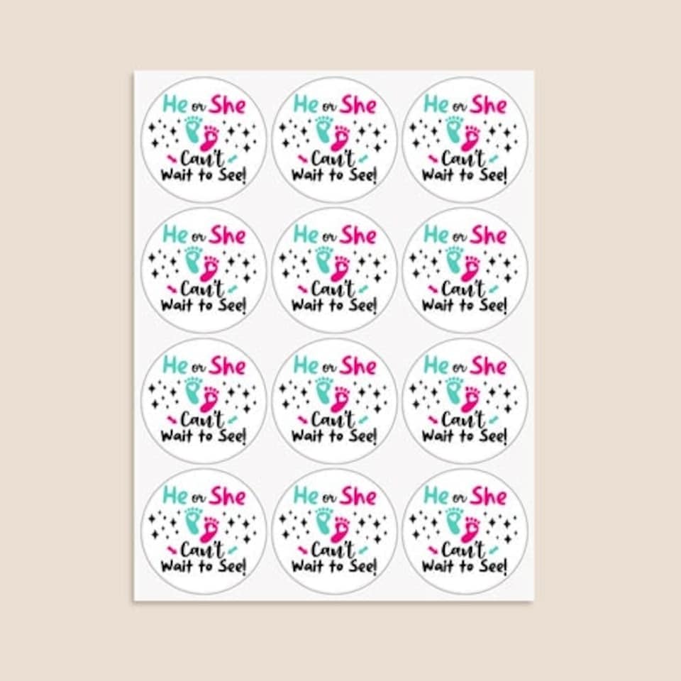 image 1 of Can't Wait to See Gender Reveal Round Stickers 60mm - Sheet of 12