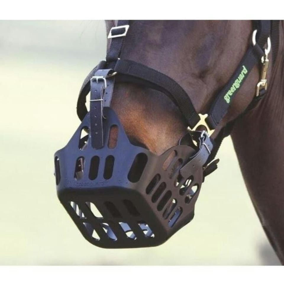 image 1 of GreenGuard Leather Horse Grazing Muzzle Strap - Black - One Size