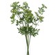 image 1 of Hill Interiors Faux Ammi - Green - One Size