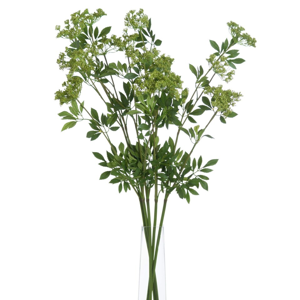 image 1 of Hill Interiors Faux Ammi - Green - One Size