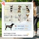 image 3 of PawHut Pet Stroller Carrier Foldable Deluxe Walk Travel Dog Dark Grey