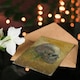 image 4 of Vincent van Gogh Art Card Human Skull Study in Yellow