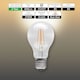 image 2 of BELL Lighting E27 LED Filament GLS Warm White 7W Energy Saving Light Bulb