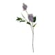 image 1 of The Natural Garden Collection Lilac (Single Stem Flower) - Plastic - L30 x W30 x H75 cm - Purple