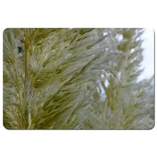 autumn pampas grass close up (Placemat)