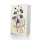image 2 of Flora Conspicua Clark Delphinium Elegans Art Card