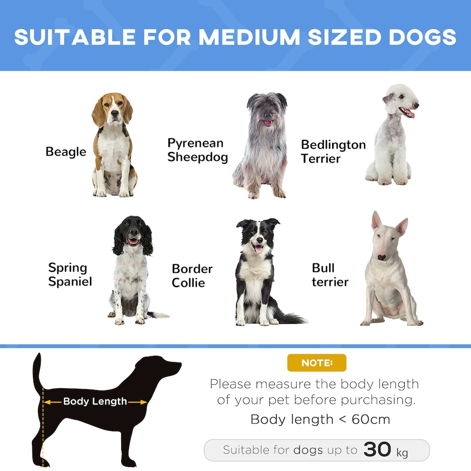 image 1 of PawHut Elevated Pet Bed with Metal Frame and Oxford Fabric with Dogs and Cats L