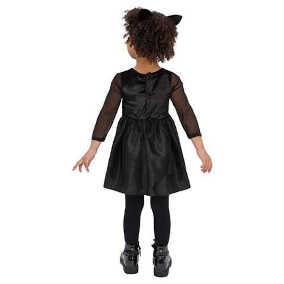 image 1 of Rainbow Cat Girls Fancy Dress Costume Toddler Age 3-4