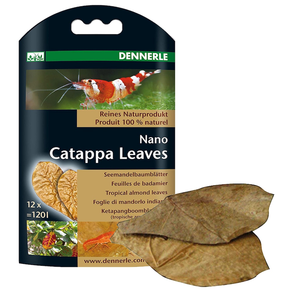 image 1 of Dennerle Catappa Leaves Pack of 12 for Aquariums