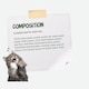 image 6 of Josera NatureCat complete food | For adult cats & older kittens | Grain-free | Chicken & Salmon | Anti-Hairball | Herbs & Fruits | Urinary pH | 6x2kg