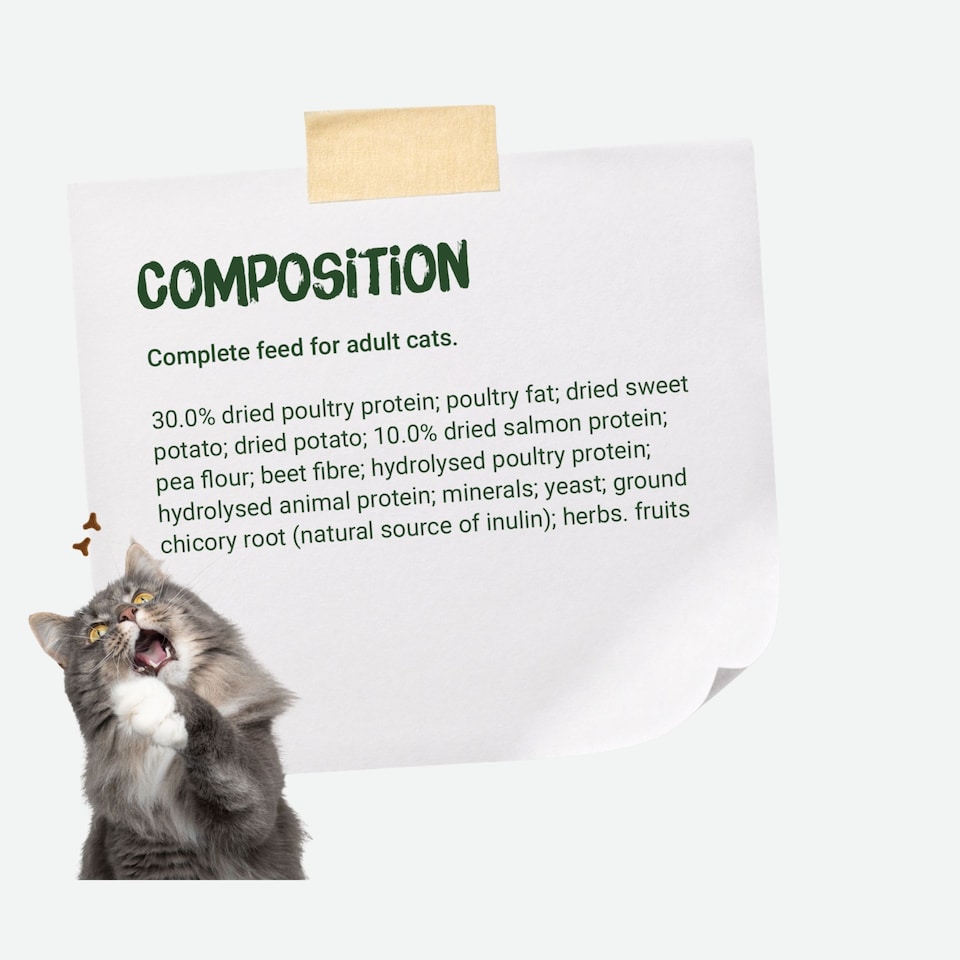 image 1 of Josera NatureCat complete food | For adult cats & older kittens | Grain-free | Chicken & Salmon | Anti-Hairball | Herbs & Fruits | Urinary pH | 6x2kg