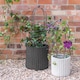 image 3 of Outdoor Pot Plant Support - Mild Steel - L64 x W26 x H26 cm - Zinc