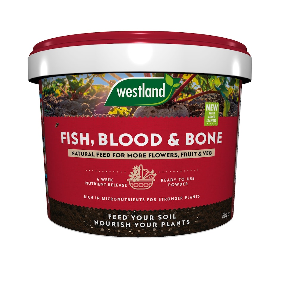 image 1 of Westland Fish, Blood & Bone All-Purpose Plant Food NPK 3-9-3 4kg