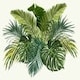 image 2 of Jungle (Canvas Print) 50cm x 35cm
