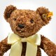 image 3 of Steiff 2026 Bear