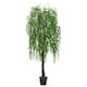 image 1 of Living and Home Lifelike Artificial Willow Tree 180cm Tall