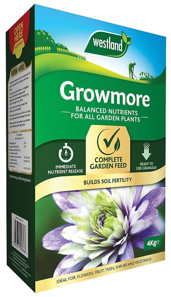 Westland Growmore Plant Food - 4Kg